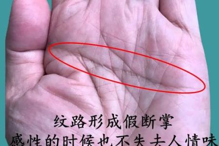 女性双手断掌命运解析：揭示隐藏在掌纹背后的秘密
