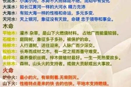 探寻命理之奥秘：解密坐喜命的深刻含义