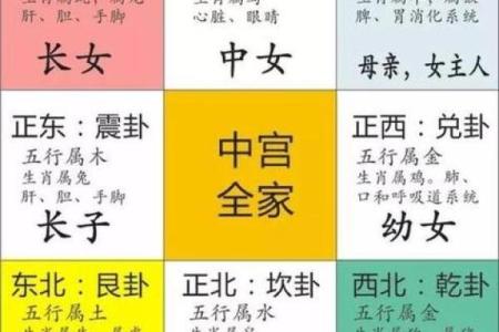 属马人如何利用2014年信号提升自己的命运运程