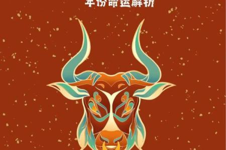 62岁属牛者的命运与生活智慧探讨