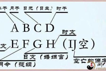 亥时出生的命理解析：揭示你的命运与机遇之路