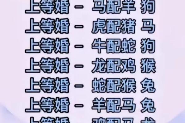 揭开生肖的秘密：如何通过固定命盘解读你的生肖性格与命运