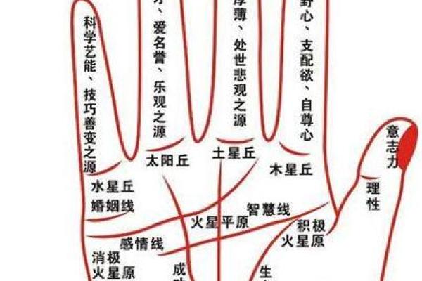 如何确认自己是什么命：探索命理之路