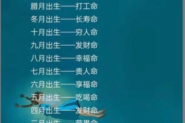 属相与富贵命：揭示十二生肖的财富密码