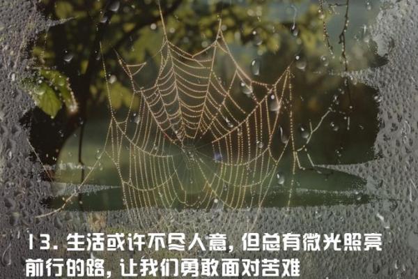探秘命运的真谛：什么人什么命的深层解析