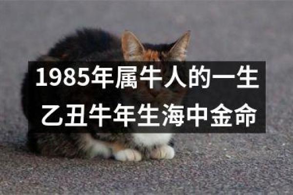 海中金命的人肤色与性格的完美契合