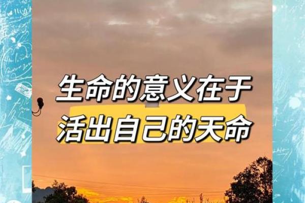 命如山,心如水:探寻生命的深层意义与价值 命如山,心如水:探寻生命的深层意义与价值