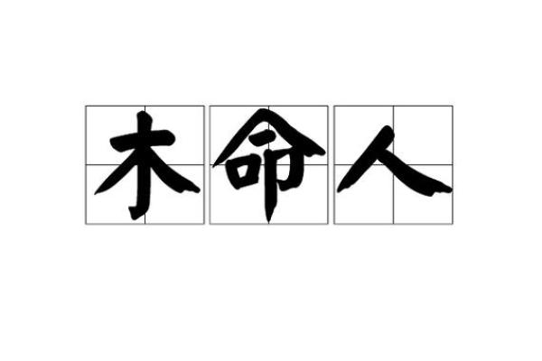 木命人与适合的宠物:为你的生活增添自然气息 木命人与适合的宠物:为你的生活增添自然气息