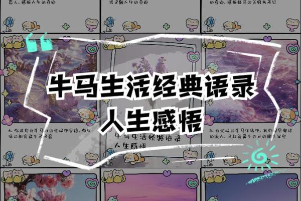 属马女人的命运之路：怎样才能活出精彩人生？