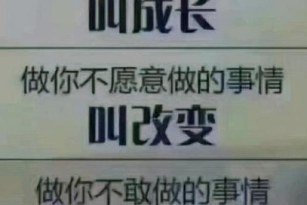 1999年正月十一：命运与生活的哲学思考