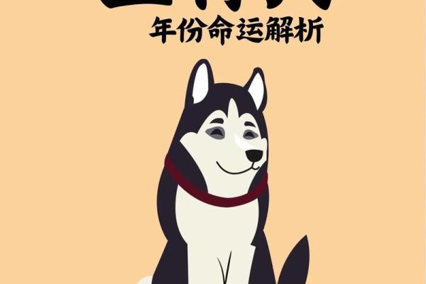 属相狗的命运解析：你该知道的性格与运势！