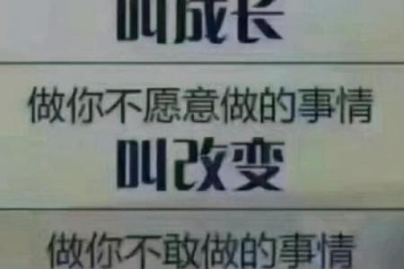 1999年正月十一：命运与生活的哲学思考