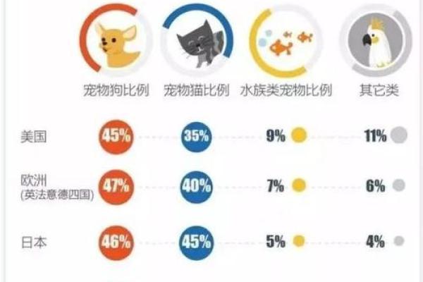 天上火命者如何选择宠物：最适合的伙伴与养护指南