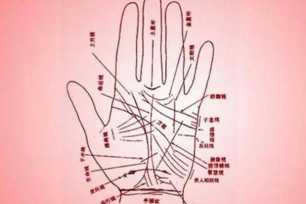 从脚中指的长度看命运与性格的独特联系 从脚中指的长度看命运与性格的独特联系