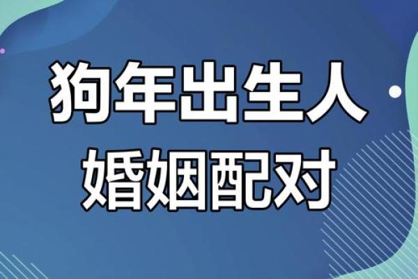 94年属狗人婚配大全：如何找到心灵伴侣，实现完美结合？