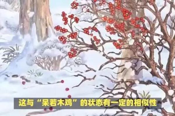 揭秘木鸡命的人忌讳生肖，助你避开潜在风险！