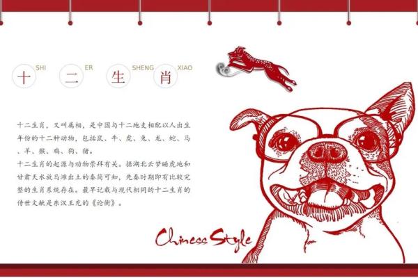 属相与命运：探讨哪些生肖女生在老年享有幸福生活