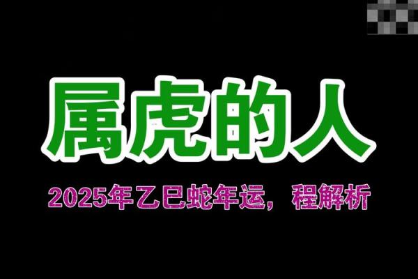 1974年属虎之人的命运解析：聪慧与挑战并存的生活旅程
