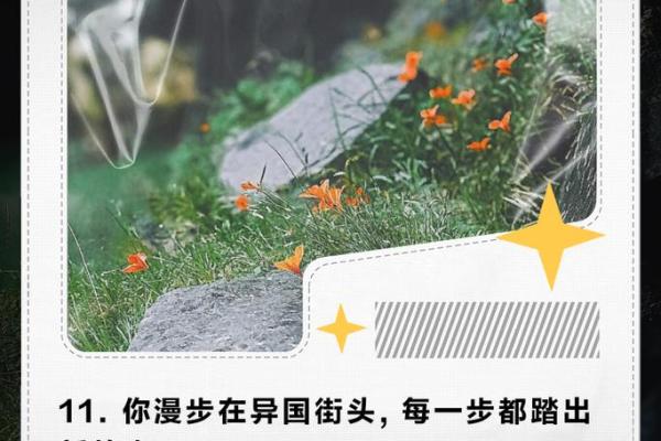 2018年2月：命运的转折点，探索人生的未知旅程