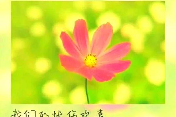 属兔人命格解析：克什么、又如何应对？