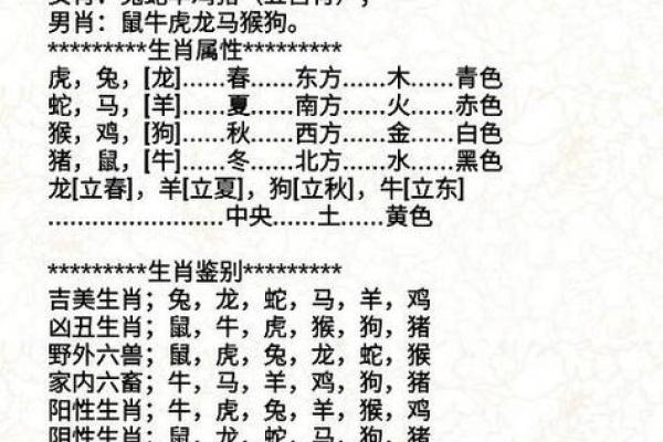 解密你的命理：如何通过属相了解命运与性格