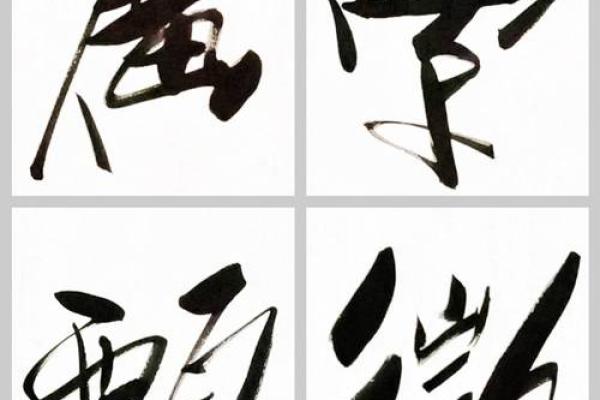 入命的深层含义与生活智慧探索