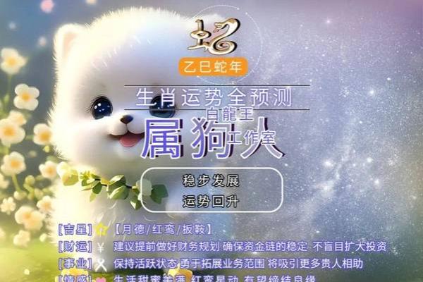 属狗子女的命理解析：与狗同生的孩子如何运势亨通