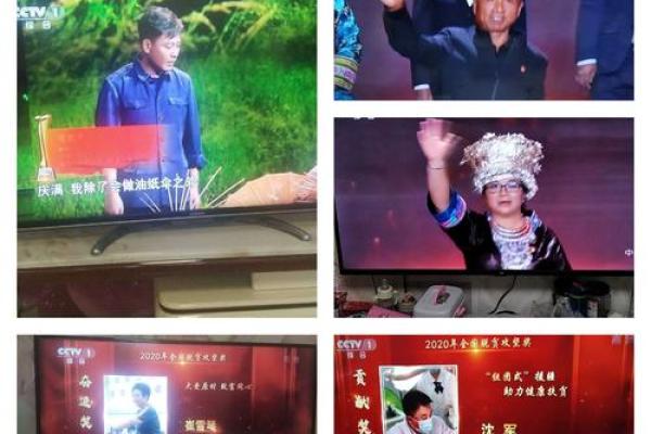 1988年：圆梦之年，承载希望与改变的故事