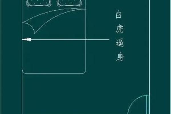 探索86虎命理：揭示命中缺失的背后奥秘