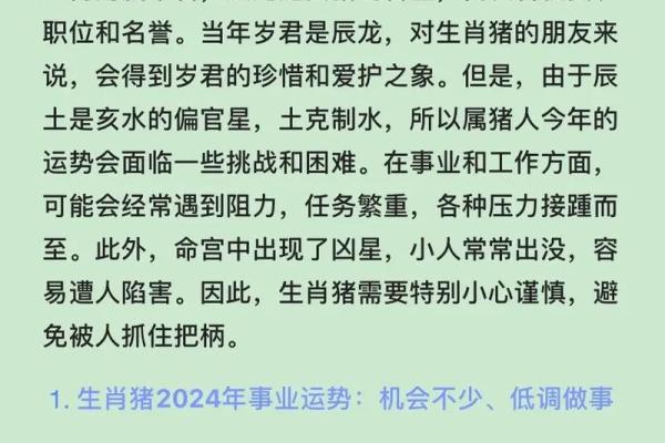 火命猪的佩戴指南：如何选择适合的饰品提升运势