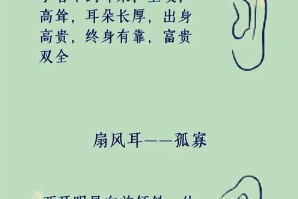 男人耳高于眉,命运如何?探秘耳与命运之间的秘密 男人耳高于眉,命运如何?探秘耳与命运之间的秘密