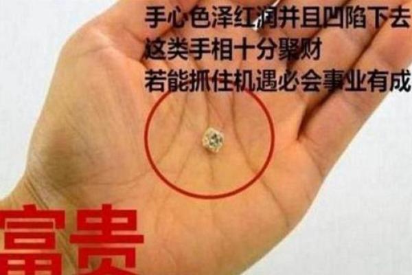 解密天才手相：男命中的智者之路