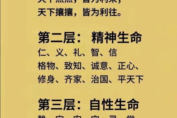 探索“林”姓的命理寓意：追寻生命之道的智慧与情感