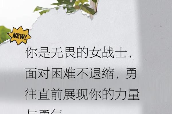 什么是极强之命女人：她们的坚韧与魅力解析