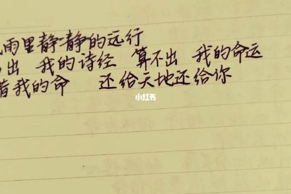 23生的命运解析：了解你命中的秘密与未来机遇