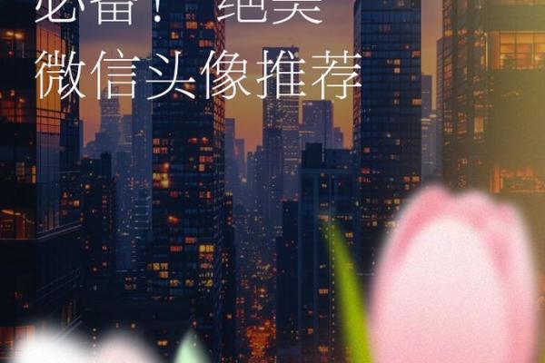 水命朋友的微信头像选择指南：如何让你的形象更具吸引力！