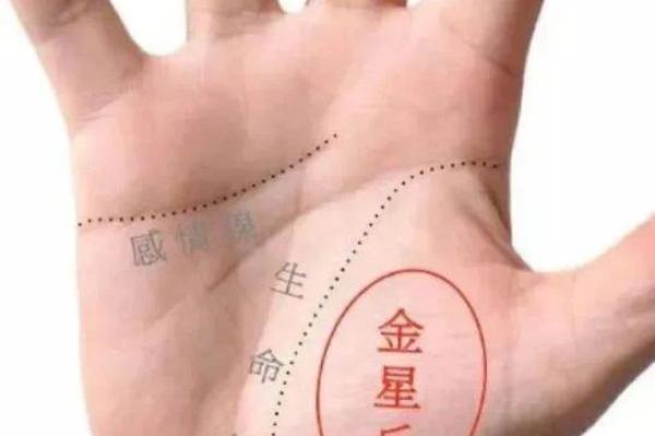 探秘金星带手纹：揭示命运与情感的奥秘
