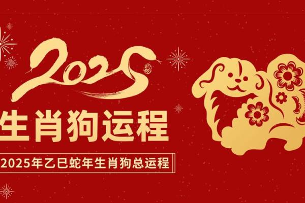 28岁狗年运势揭秘：如何打造精彩生活与未来！