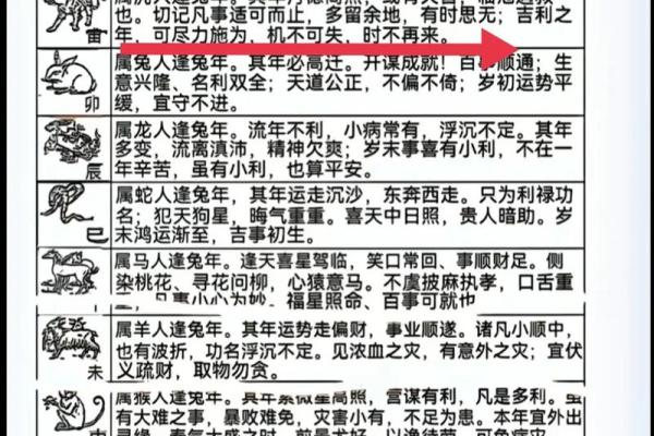 命运与运势:解读“命”与“运”的成语哲学 命运与运势:解读“命”与“运”的成语哲学
