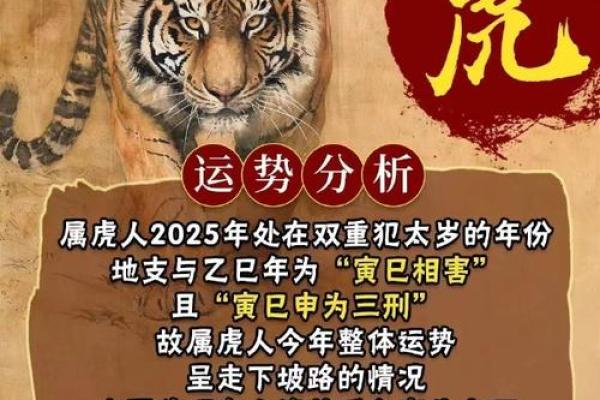 1986年属虎人的命运与五行缺失分析