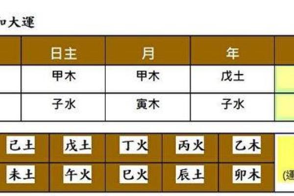 88属龙的命运与生肖解析：揭示深藏的命理奥秘