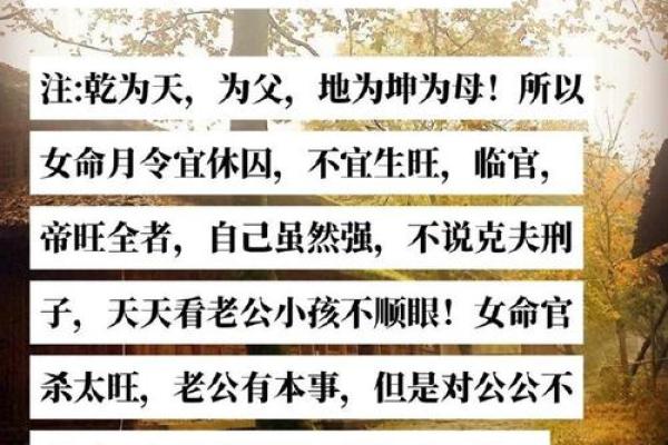 家中有男孩：命运与家庭的缘分探讨