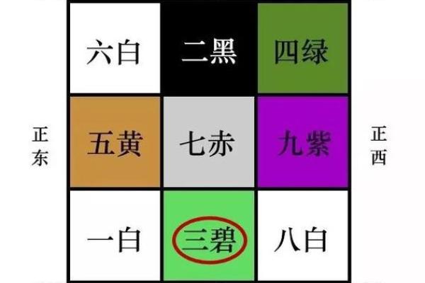 1996年属狗人的命运解析：如何把握风水与运势