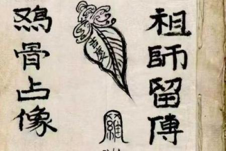 探索命运的奥秘：从成语看“命什么成什么”的智慧
