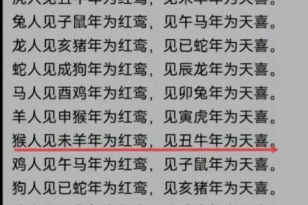 兔年出生的人命理解析：兔子猪年与性格命运的深度解读