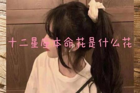 探索5月1日出生者的星座与命运：个性、特征与生活洞察