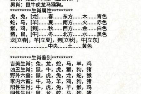 解密你的命理：如何通过属相了解命运与性格