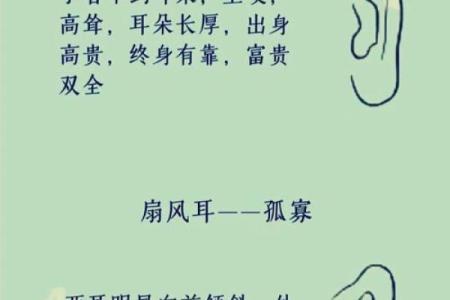 男人耳高于眉，命运如何？探秘耳与命运之间的秘密