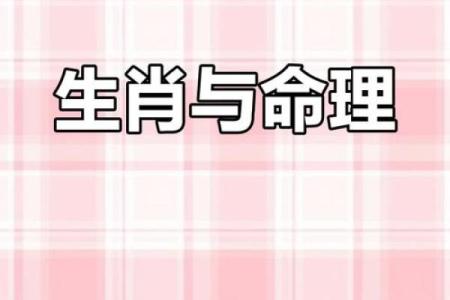 1992年生肖分析：最佳命运与成功之道