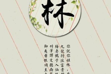 探索“林”姓的命理寓意：追寻生命之道的智慧与情感